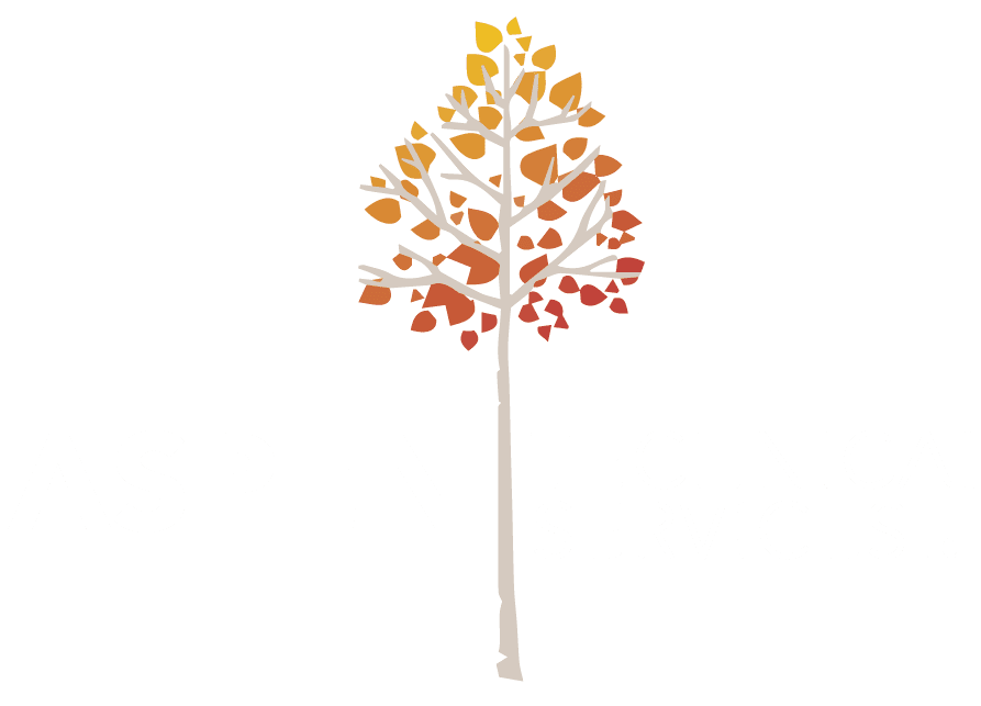 Aspen Technical Services